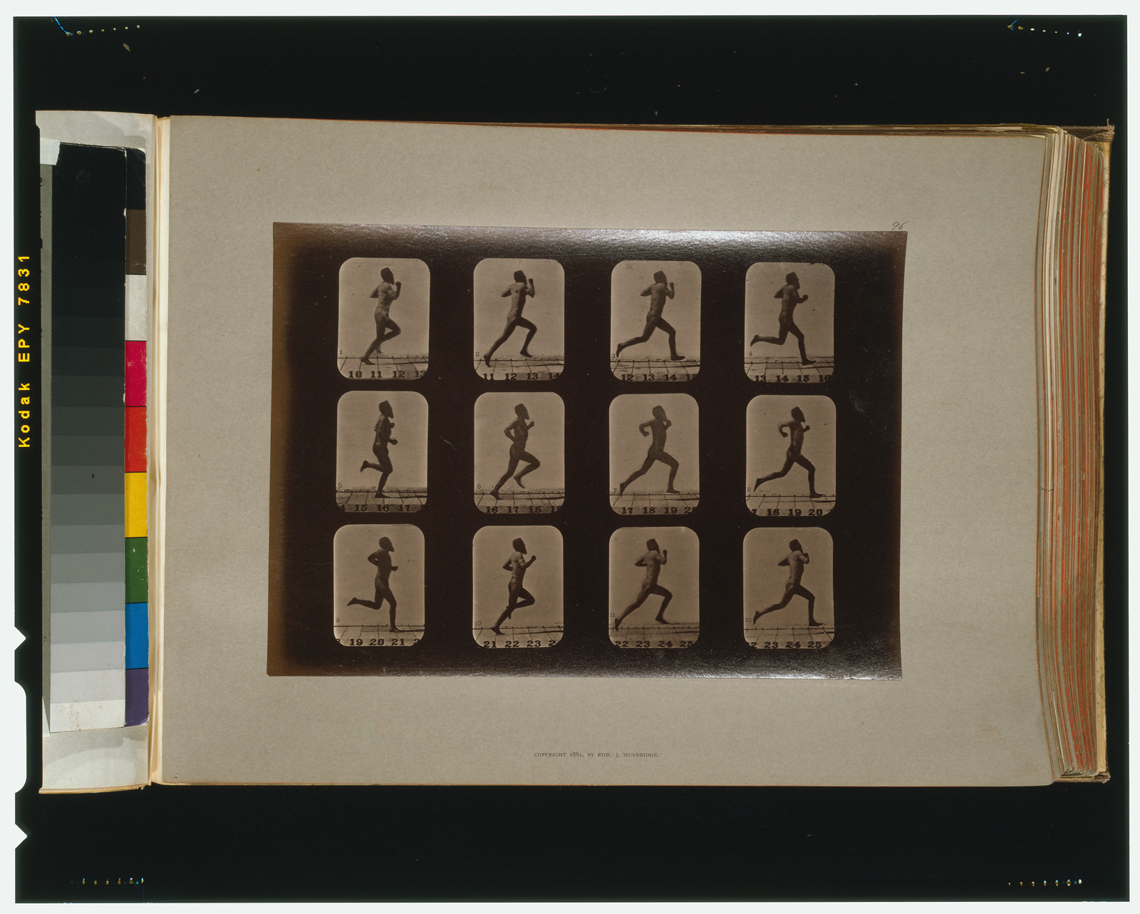 Athletes. Running, [San Francisco] : Muybridge, c1881. — historic photograph