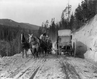 [Wyo. - Yellowstone National Park: two stagecoaches passing on mt. road]