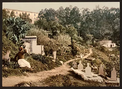 The cemetery Algiers Algeria