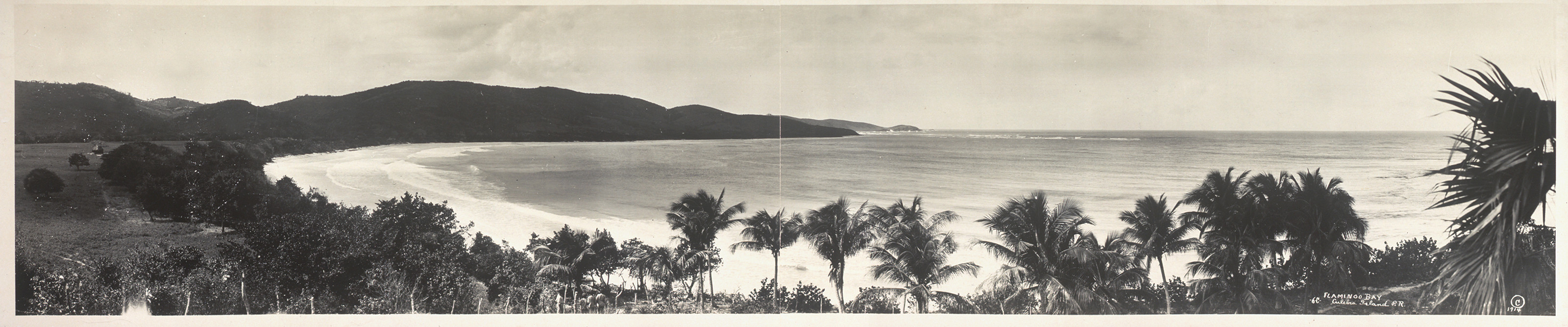 Flamingo Bay, Culebra Isl, Puerto Rico, 1914 — historic image