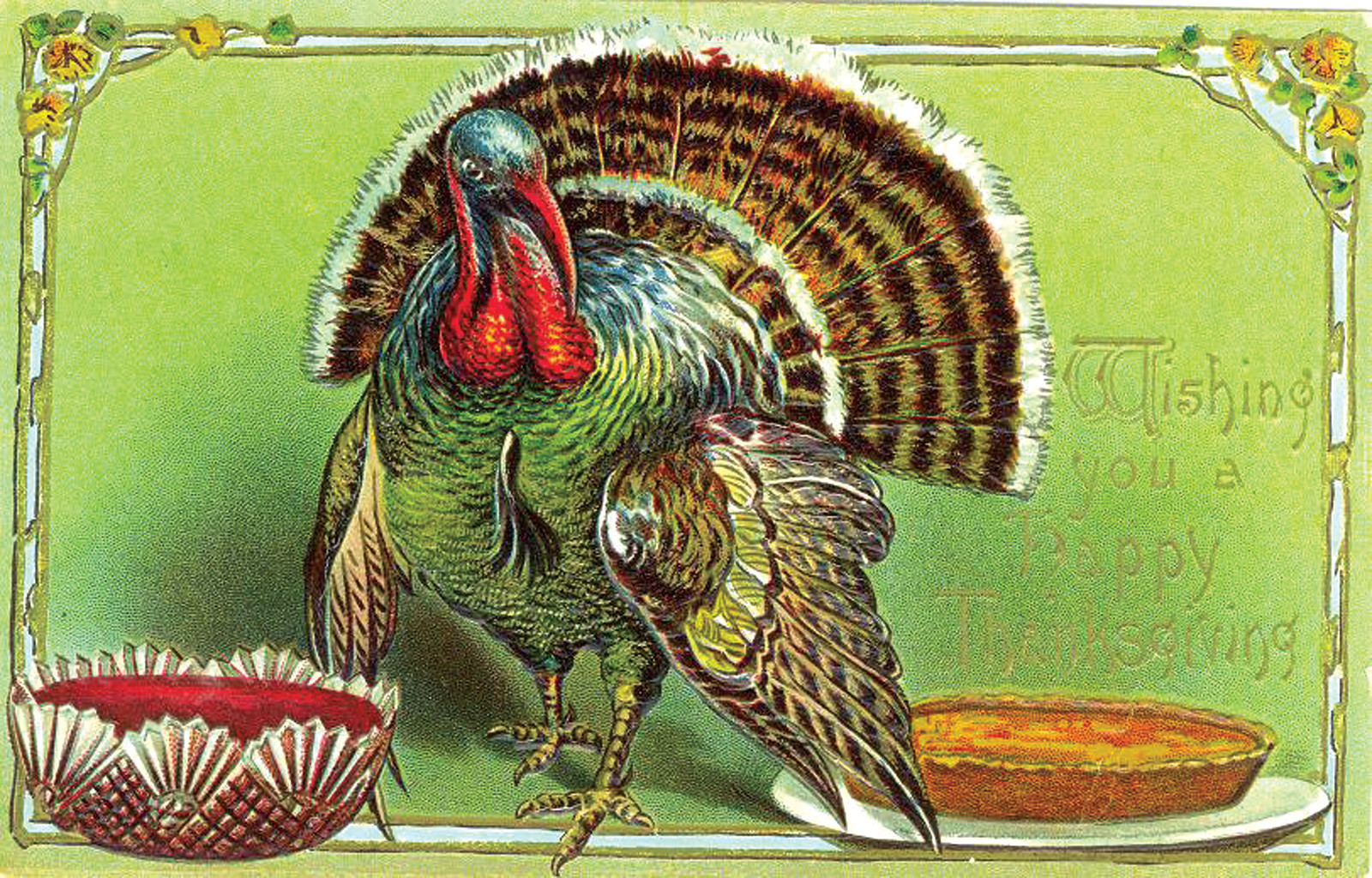 Vintage Thanksgiving greeting postcard with turkey and pie — vintage postcard