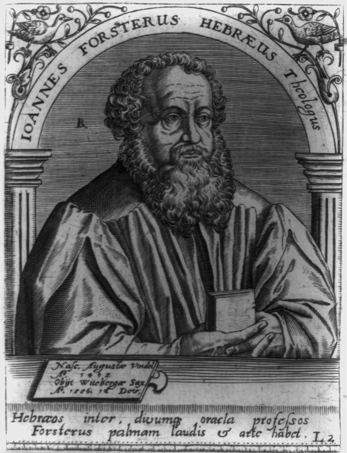 Johann Forster, 1495-1556, [no date recorded on caption card] — antique engraving