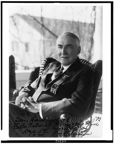 [Warren G. Harding, half-length portrait, seated, facing left, at Elks' National Home, Bedford, Va.]