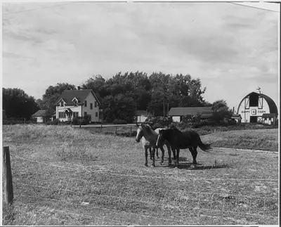 [Happy Farm near Fargo, N. Dak. Two horses inside fence in foregrd.; house and farm bldgs. in backgrd.]