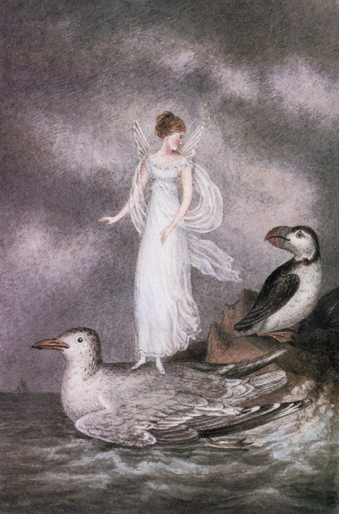 Winged fairy standing on a gull above a stormy sea — historic image