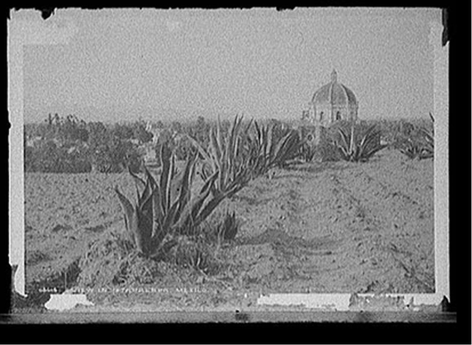 View in Ixtapalapa, Mexico, [between 1880 and 1897] — historic photograph