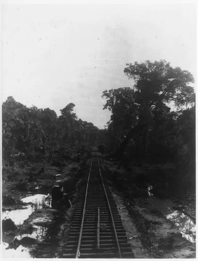 Railroad near Bf.(?) (probably Bluefields) looking toward Greytown