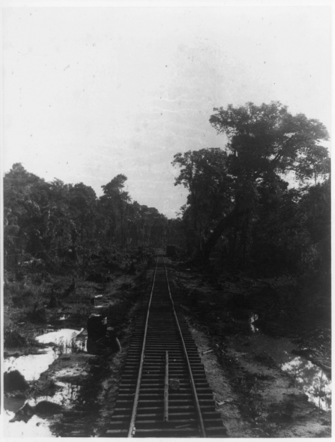 Railroad near Bf.(?) (probably Bluefields) looking toward Greytown, [between 1885 and 1893(?)] — historic photograph