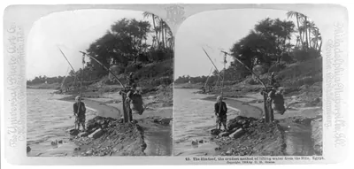 The shadoof, the crudest method of lifting water from the Nile, Egypt.