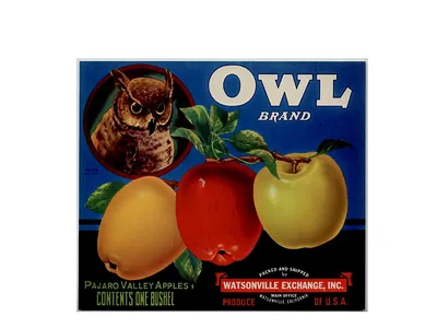 Owl Brand Pajaro Valley Apples crate label