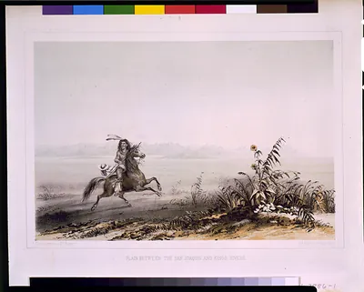 Plain between the San Joaquin and Kings rivers / lith. by A. Hoen & Co., Balto. ; from a sketch by Chs. Koppel.