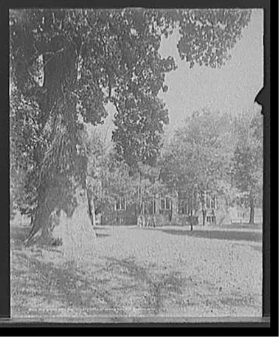 Woodward Hall and liberty tree, St. John's College, Annapolis, Md.