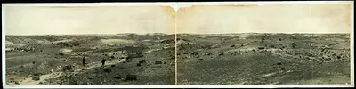 Petrified Forest, Arizona, 1908