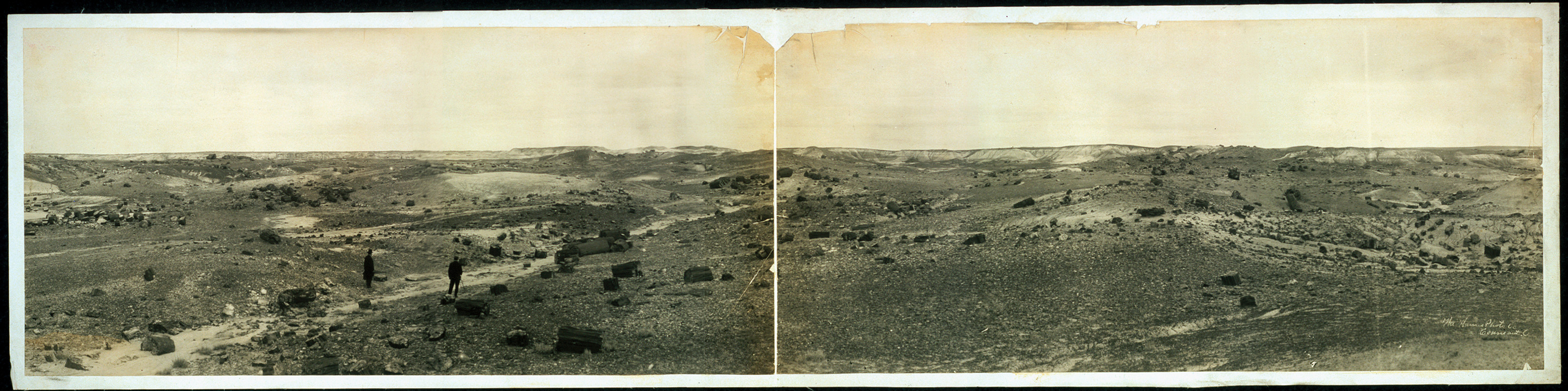 Petrified Forest, Arizona, 1908, 1908 — historic image