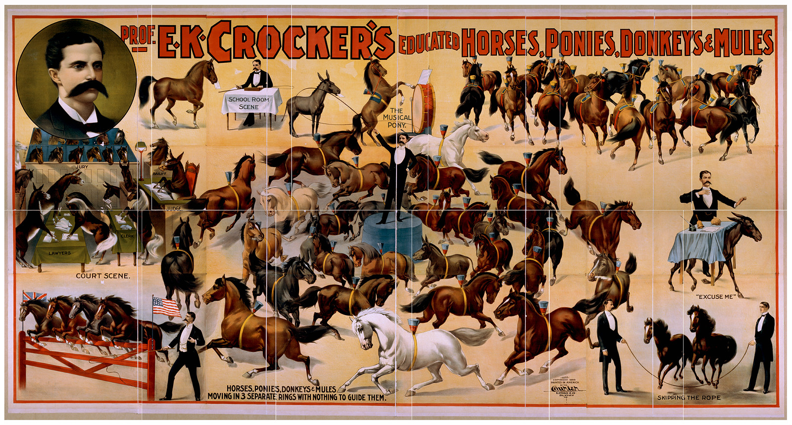 Prof. E.K. Crockers educated horses ponies donkeys & mules, 1899 — vintage poster