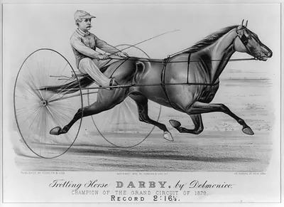 Trotting horse Darby, by Delmonico: champion of the grand circuit of 1879