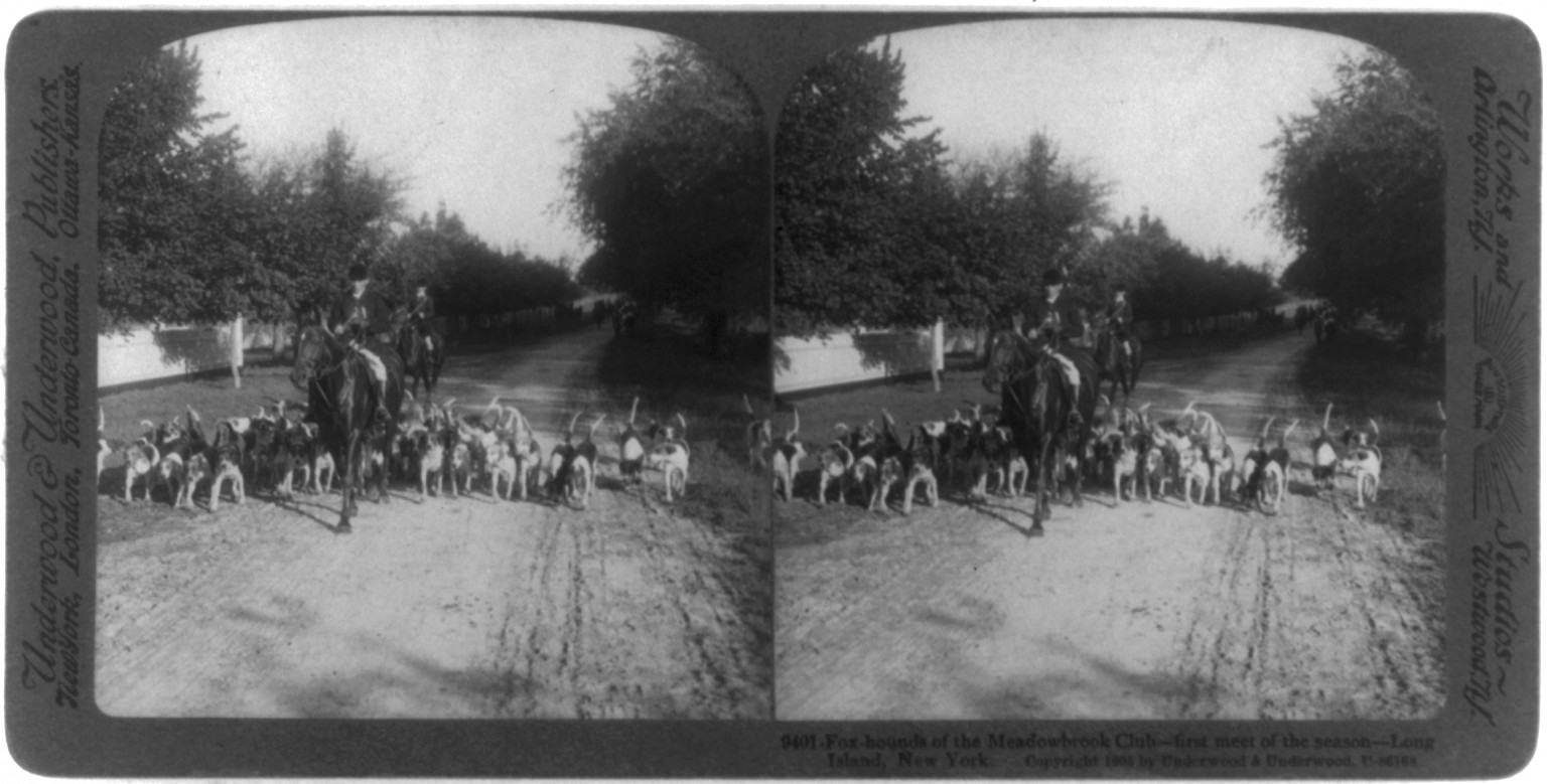 Fox hounds of the Meadowbrook Club--first meet of the season--Long Island, New York, New York : Underwood & Underwood, publishers, c1905. — historic photograph
