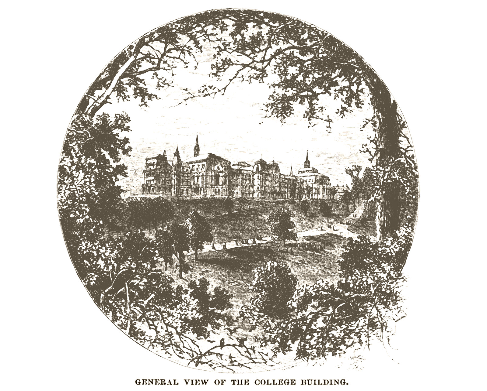 Wellesley College From Harpers Weekly 1876 3, Massachusetts — antique map