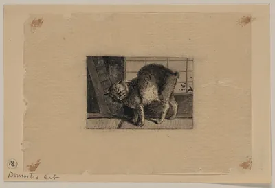 [Japanese drawing]