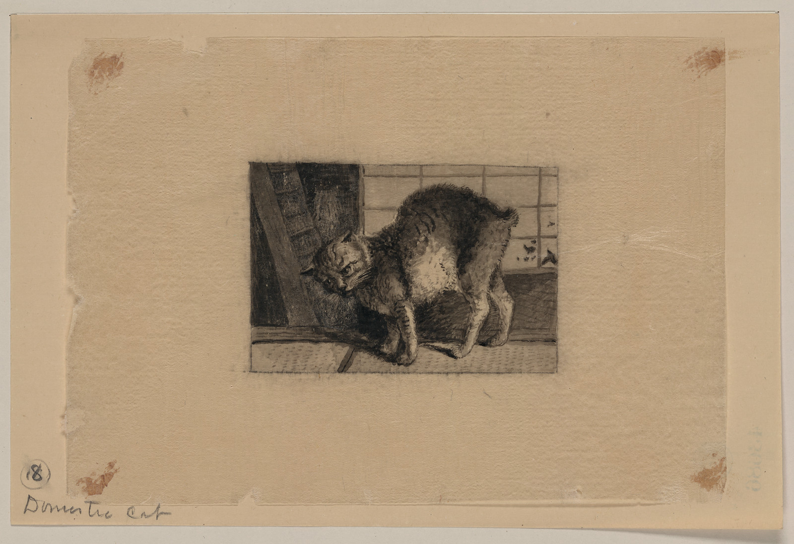 [Japanese drawing], 1750 — historic drawing