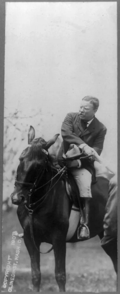 Theodore Roosevelt on horseback