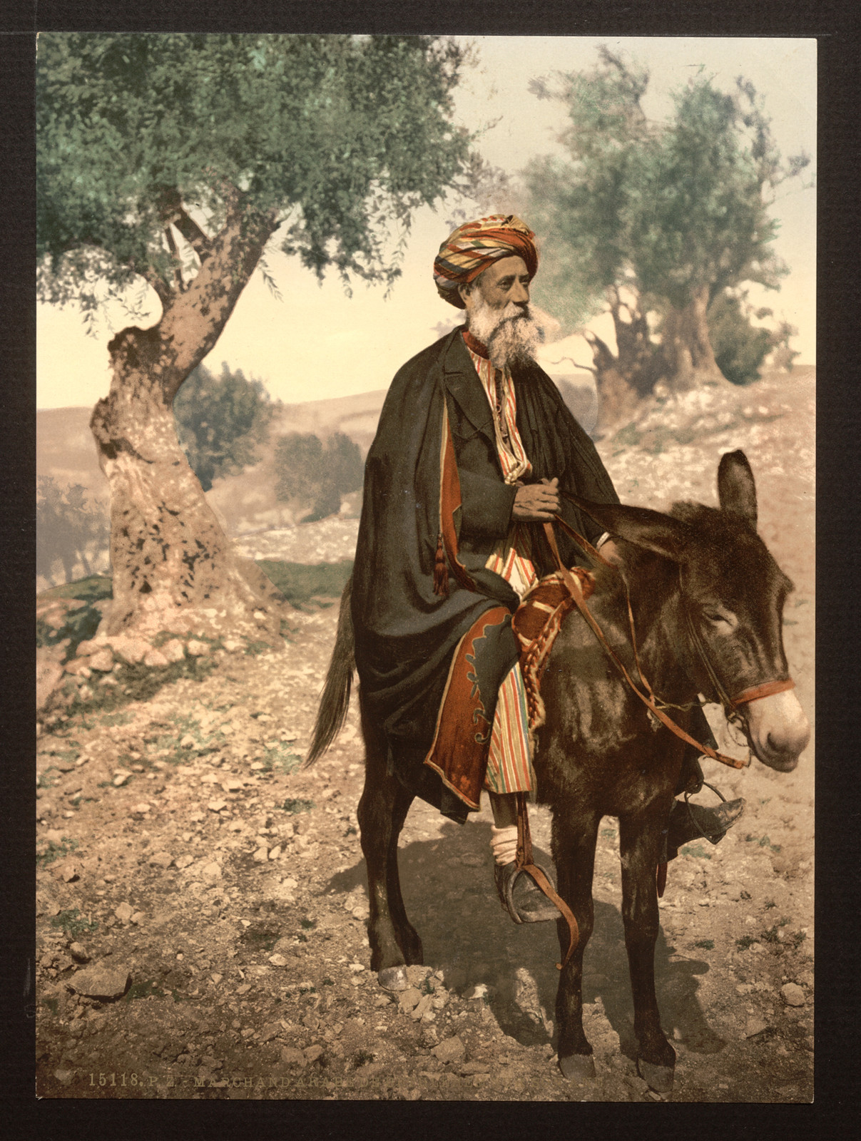 Native of Bethlehem on his donkey Holy Land (i.e. West Bank), [between ca. 1890 and ca. 1900]. — historic print