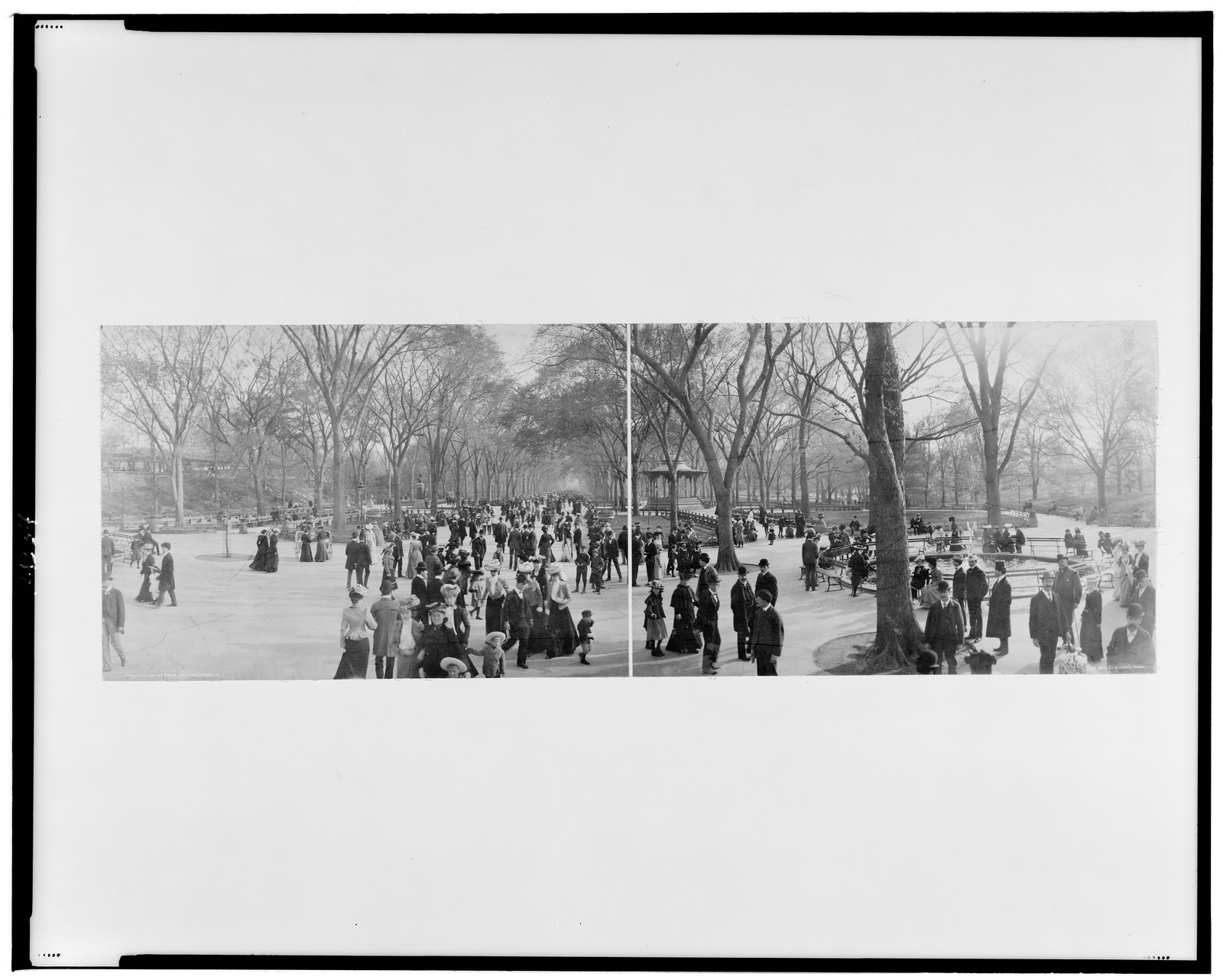 The Mall, Central Park, c1902. — historic photograph
