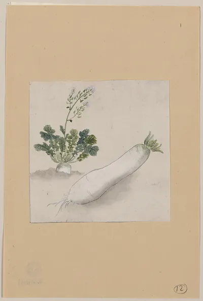 Painted white radish with flowering plant on paper