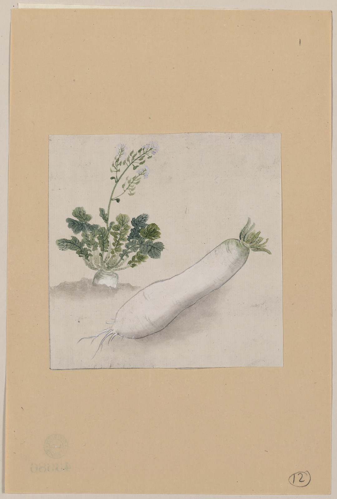 [Japanese drawing], 1750 — historic drawing