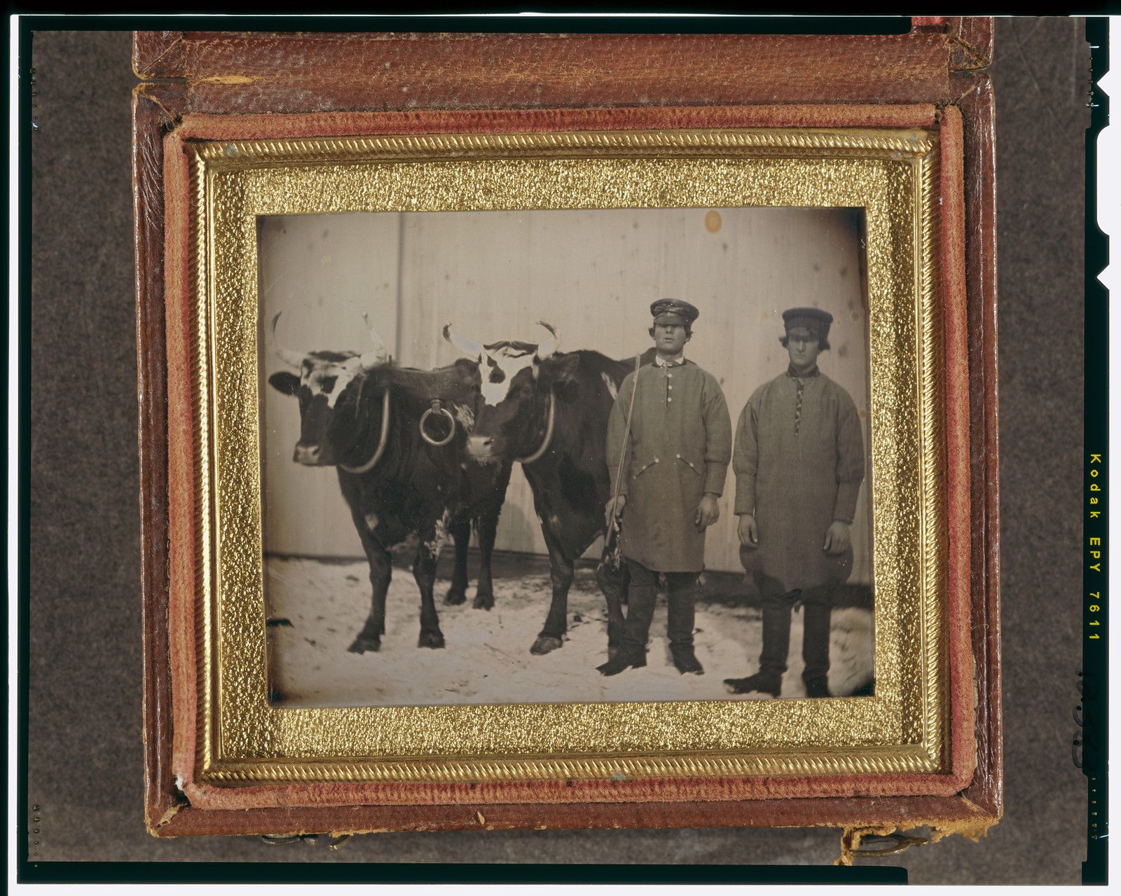 [Pair of oxen with their drovers], [ca. 1848] — historic photograph