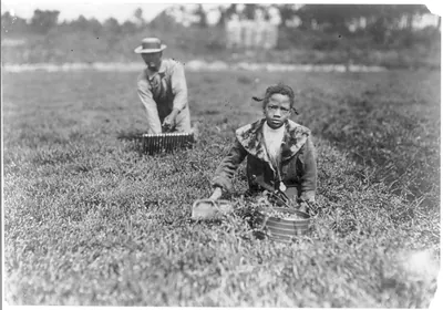 Fanny Breto. Said 9 years old. Was picking with her father on a private bog near Bang's bog. Location: Wareham, Massachusetts.