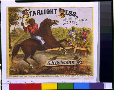 Starlight Bess, of pure Virginia stock