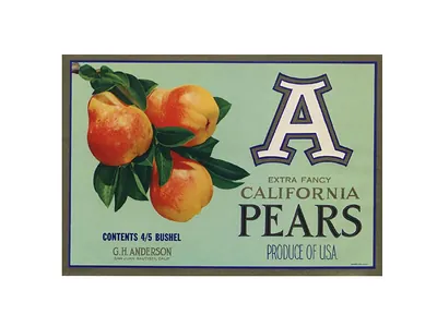 Extra Fancy California Pears crate label with A monogram