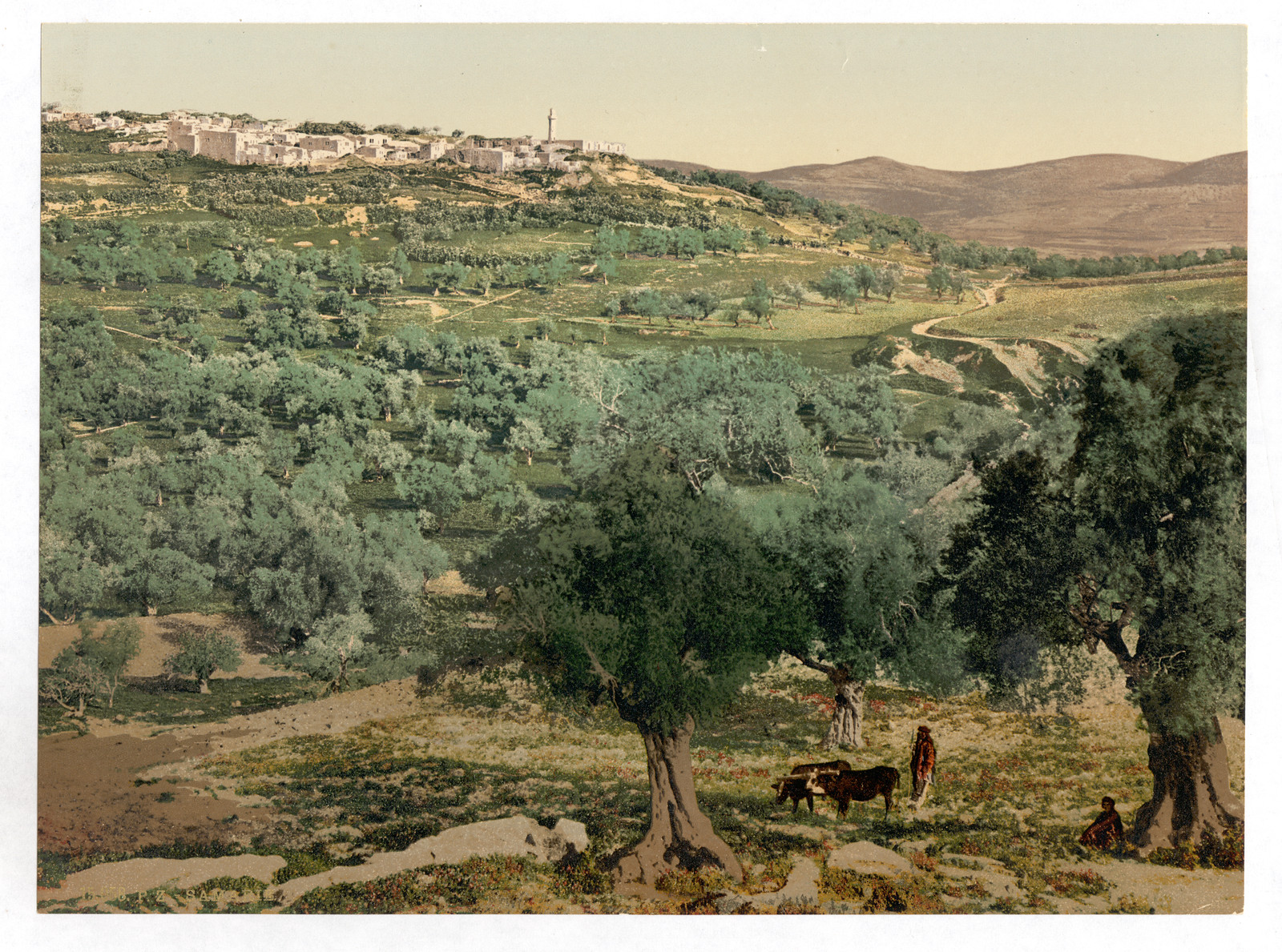 General view Samaria Holy Land (i.e. Sabastiyah Israel), [between ca. 1890 and ca. 1900] — historic print