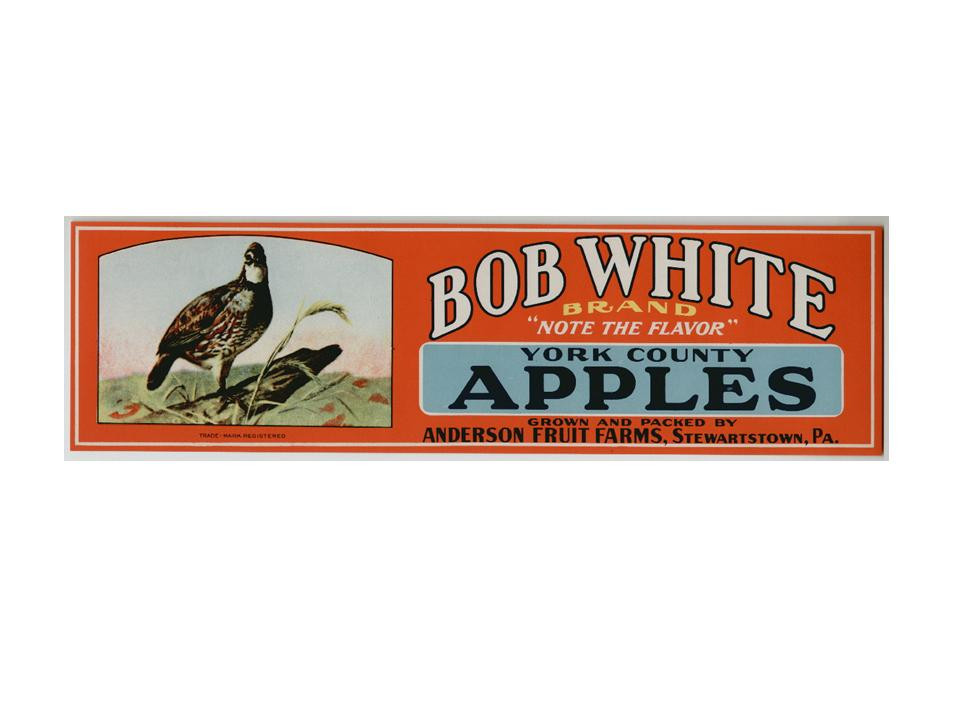 Bob White Brand York County Apples crate label — historic image