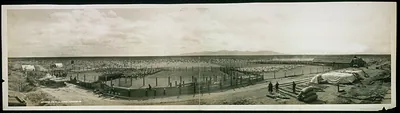 Beardsley, Arizona, 1908