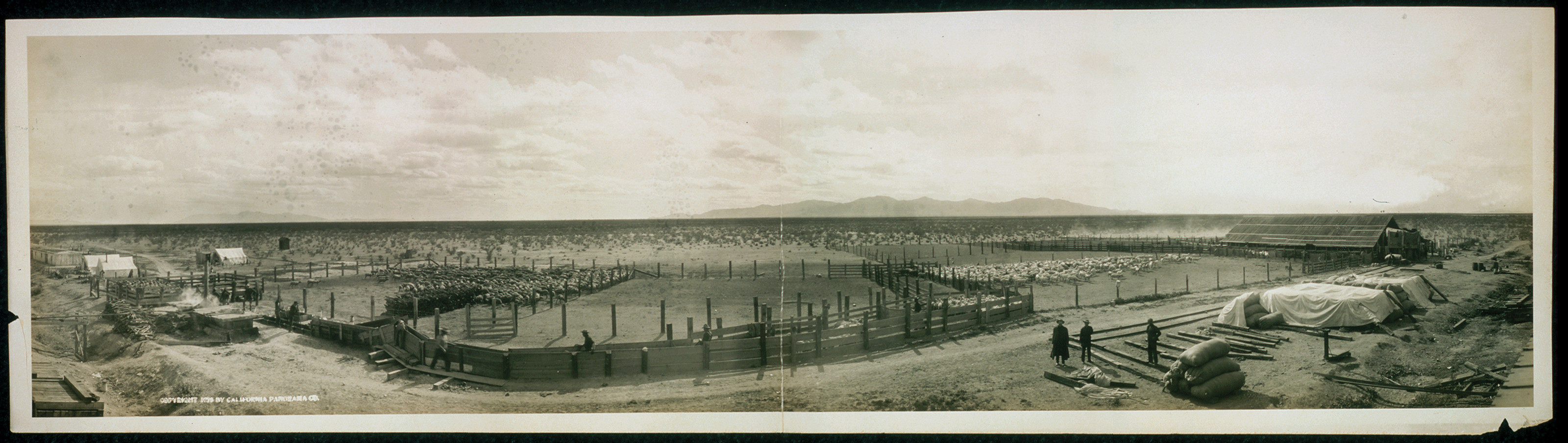 Beardsley, Arizona, 1908, 1908 — historic image