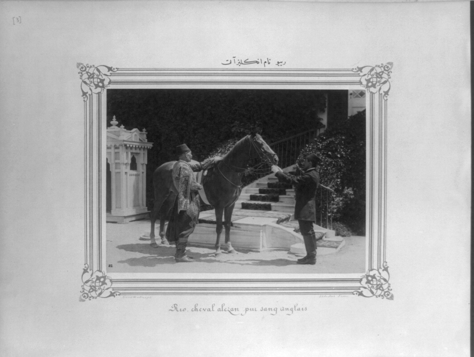 [A British horse named Riyu] / Constantinople, Abdullah Frères., [between 1880 and 1893] — historic photograph
