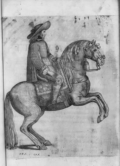 [Rearing horse - opp. p. 452]