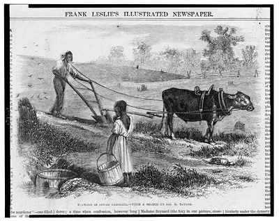Plowing in South Carolina / from a sketch by Jas. E. Taylor.
