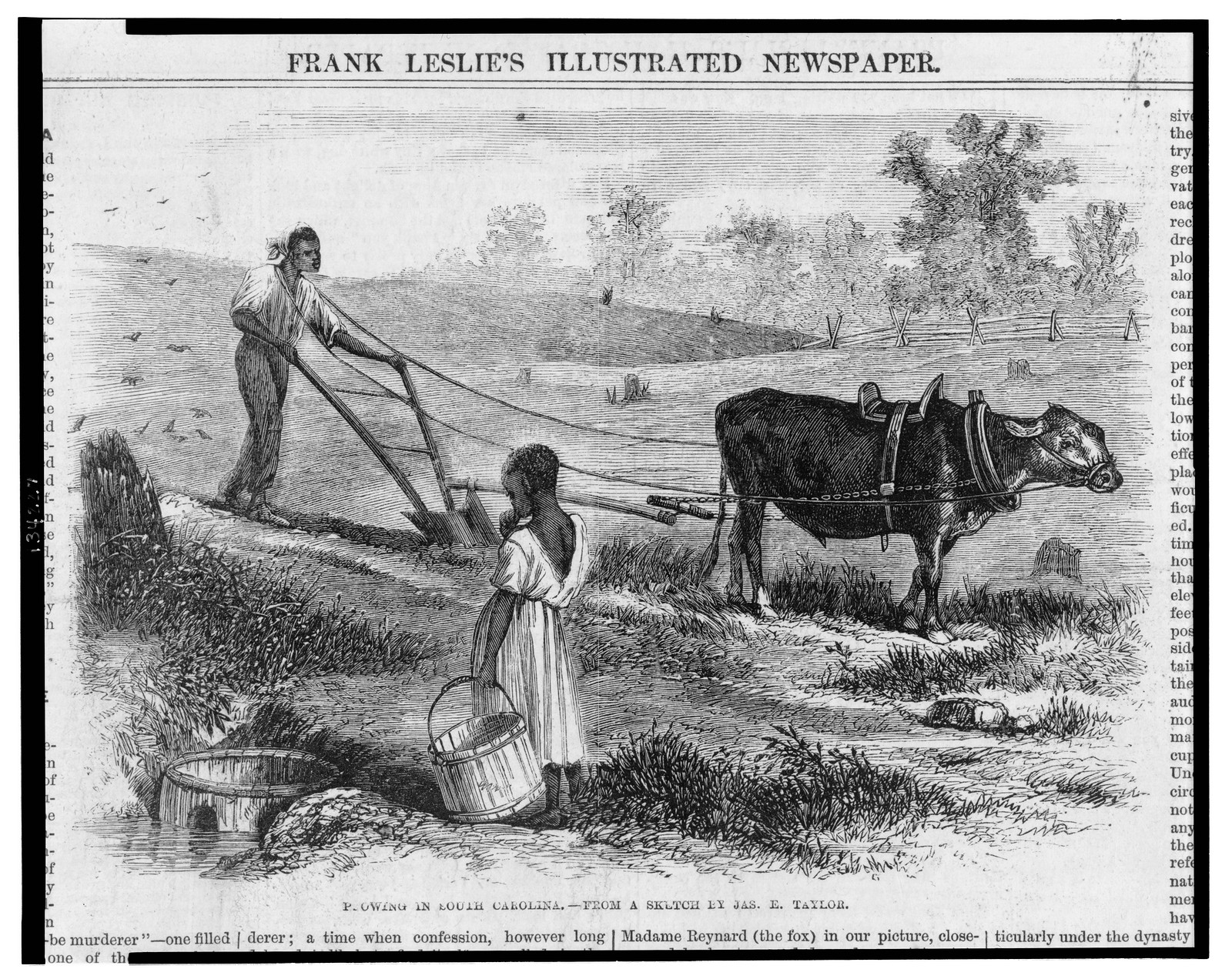 Plowing in South Carolina / from a sketch by Jas. E. Taylor., 1866 Oct. 20. — antique engraving