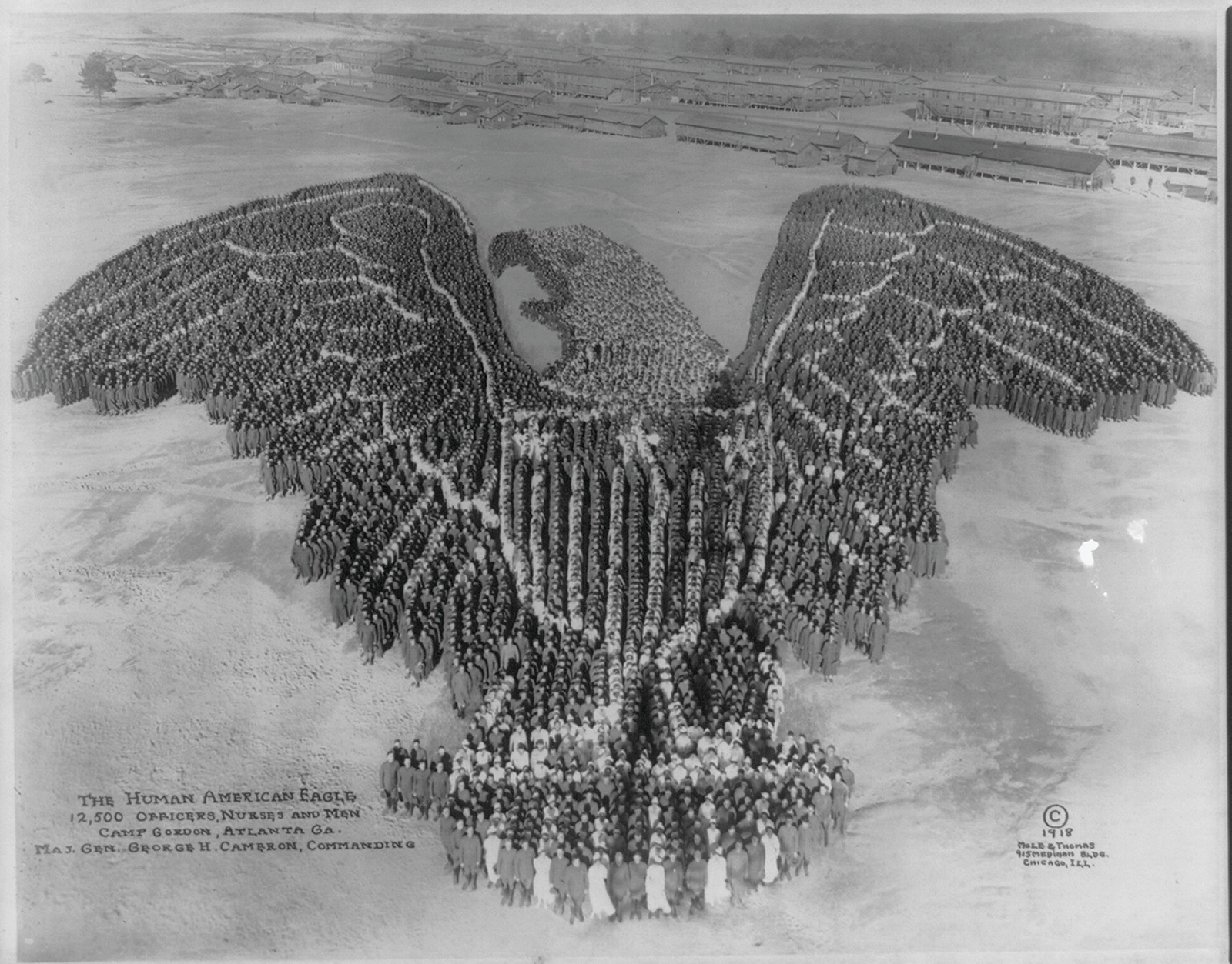 The Human American Eagle; 12,500 Officers, Nurses And Men; Camp Gordon, Atlanta, Ga.; Maj. Gen. George H. Cameron, Commanding, c. 1918 — historic photograph