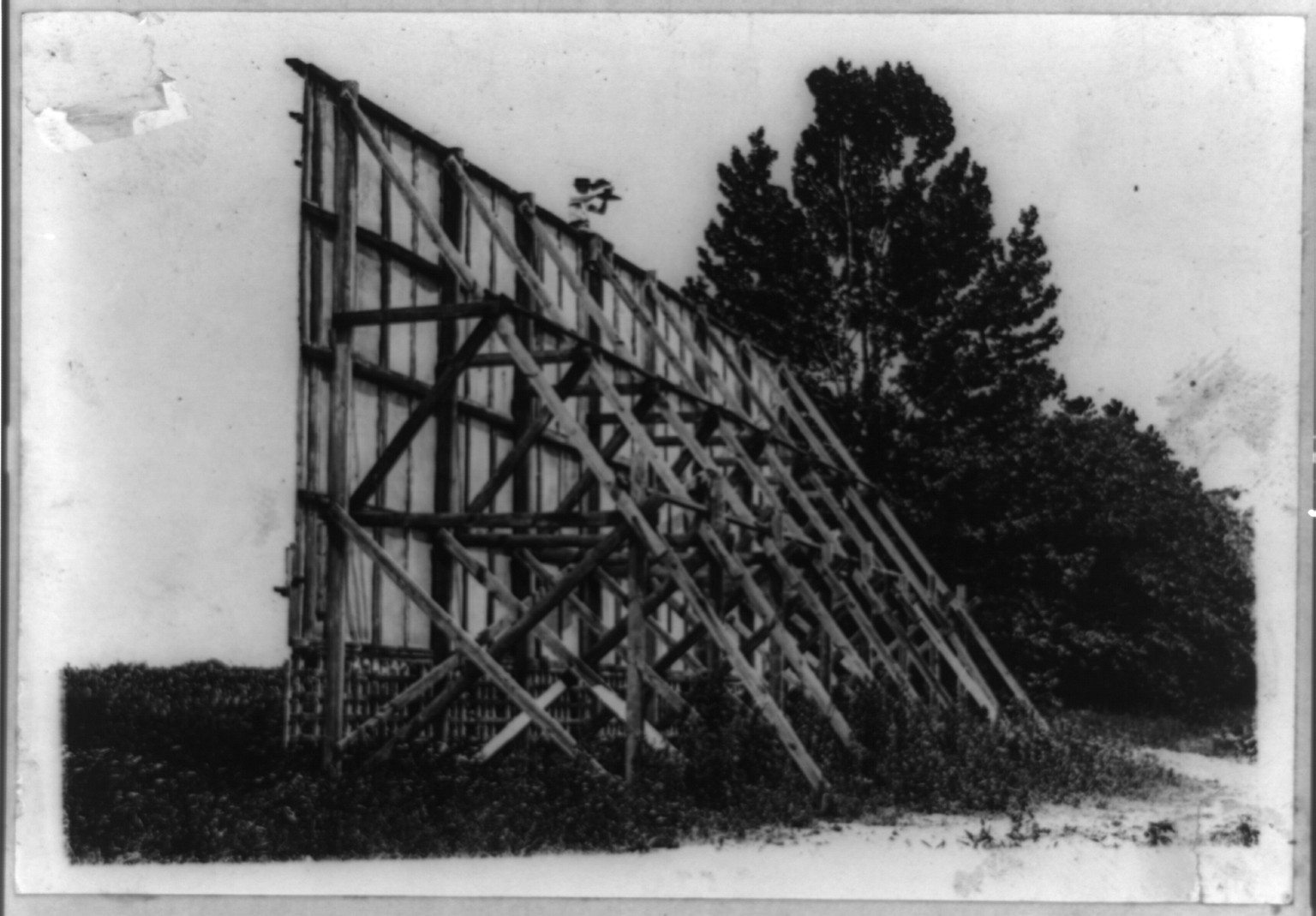 Difficulties of the cameraman, [between 1909 and 1932] — historic photograph