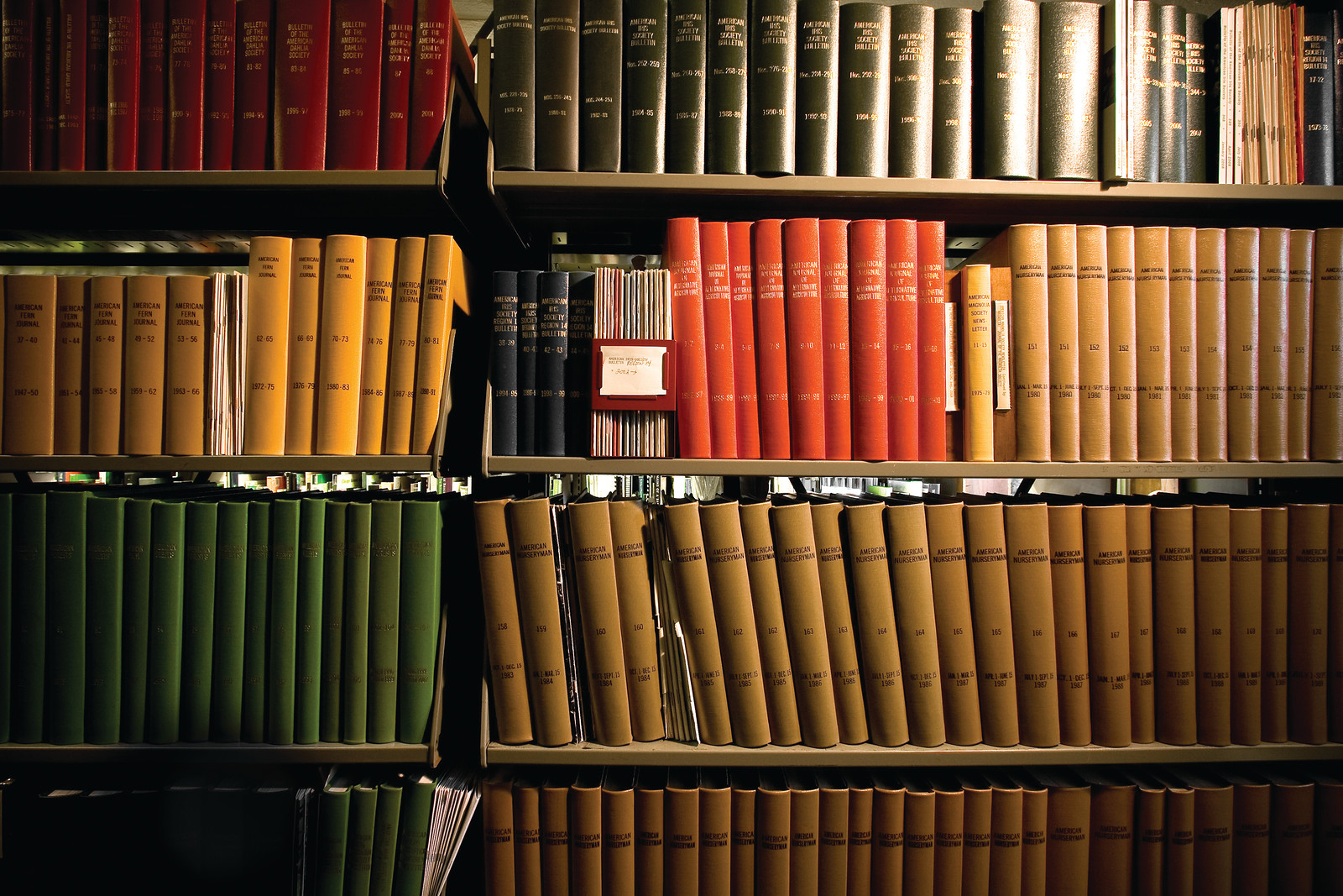 Rows of bound law reports on library shelves — historic image