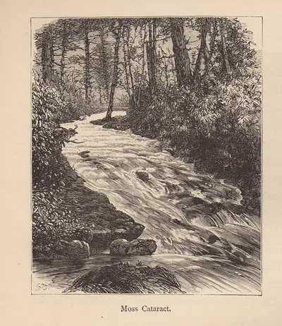 Moss Cataract, engraving of rapids through woodland
