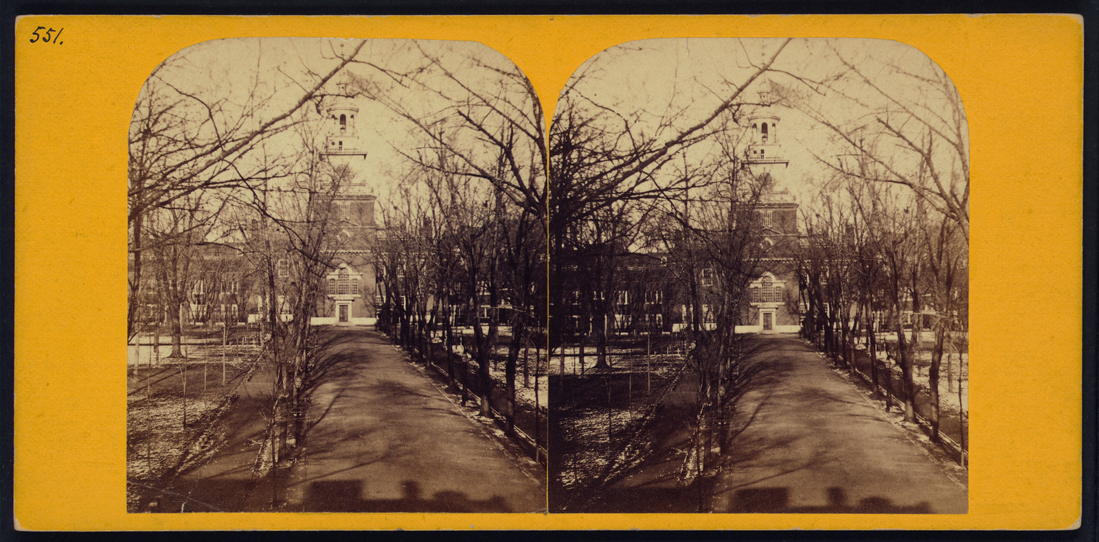 Bare-tree walkway to a domed brick building, stereograph view — stereograph