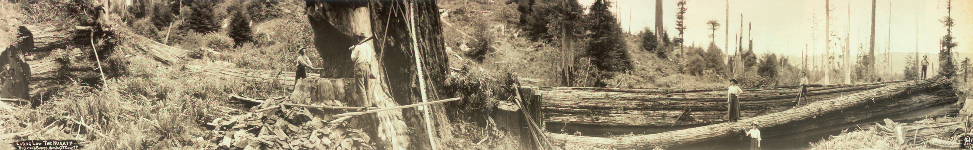 Humboldt County, California, 1915, 1915 — historic image