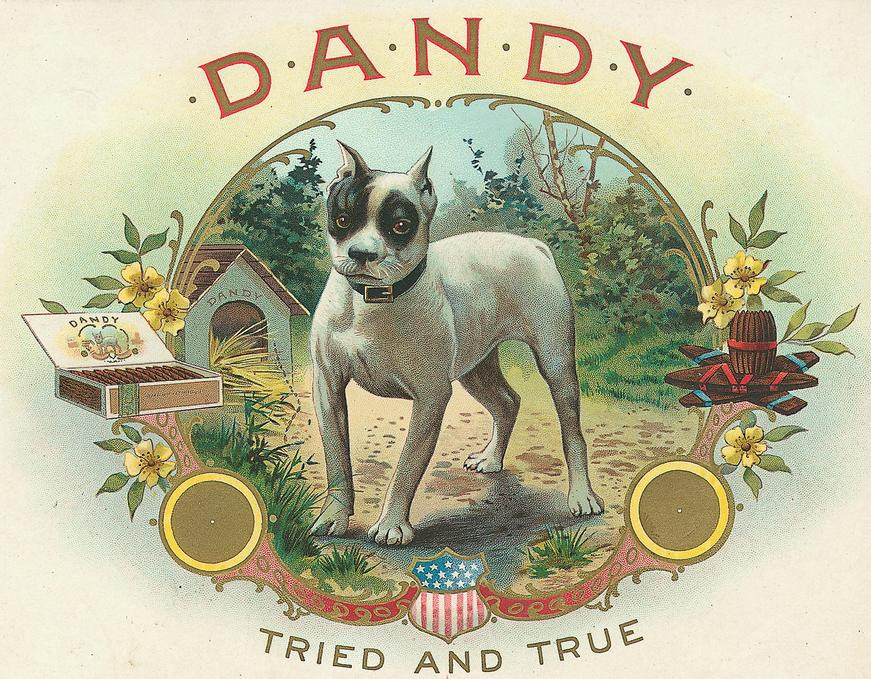 Dandy cigar box label with a dog, "Tried and True — historic image