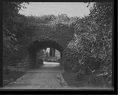Ivy arch bridge in Delaware Park, Buffalo, N.Y.