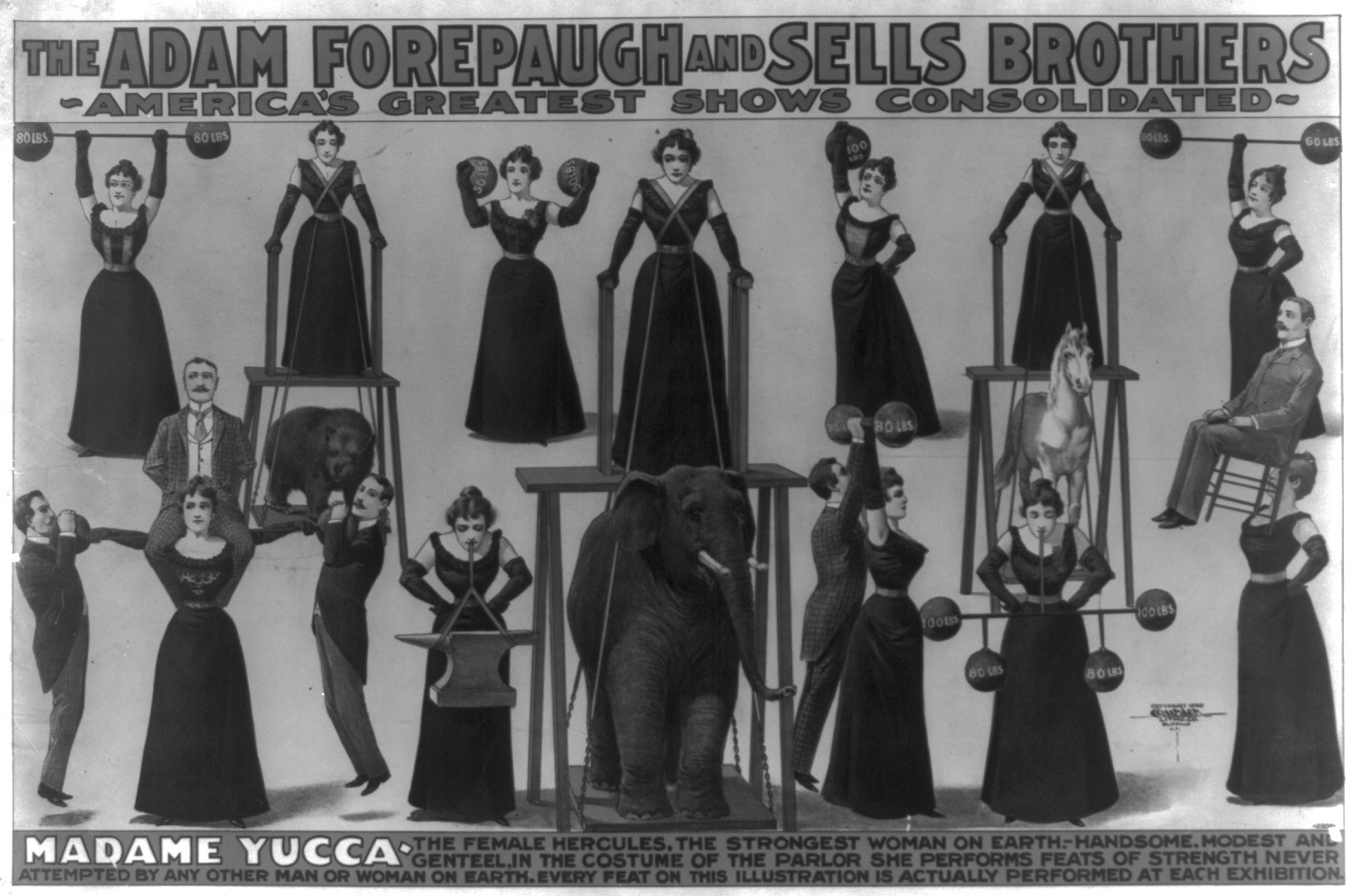 The Adam Forepaugh and Sells Brothers--America's greatest shows consolidated--Madame Yucca, the female Hercules, the strongest woman on Earth [...], c1898. — vintage poster